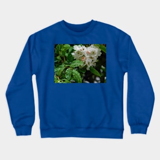 Raindrops on roses Crewneck Sweatshirt